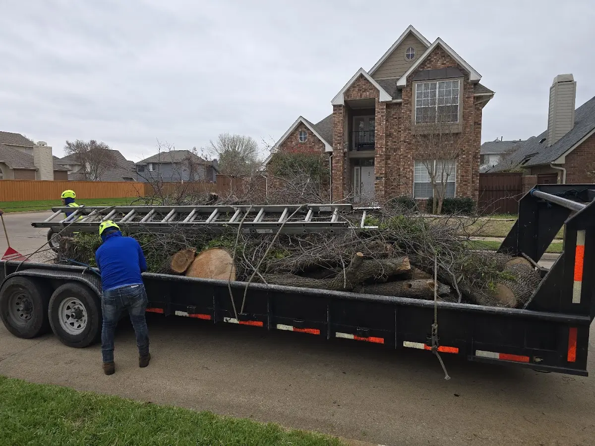 Expert Tree Fertilization with proper safety equipment in Mack